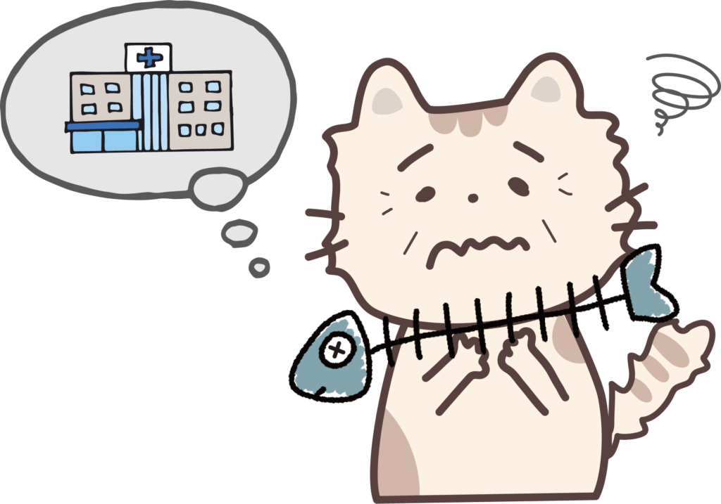 cat_hospital